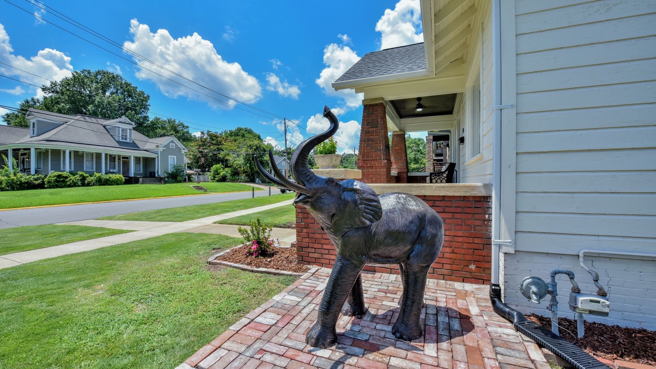 Photo of Outdoor in Tuscaloosa