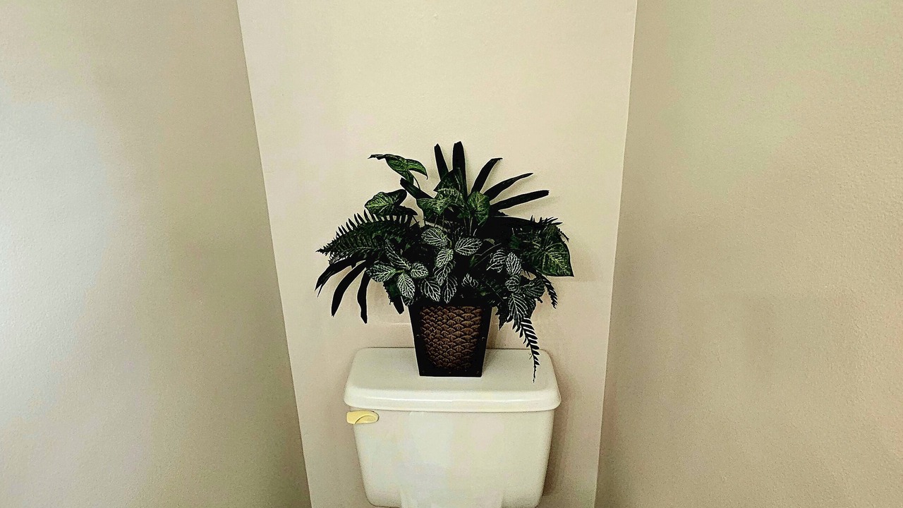 Photo of Bathroom in St. Johns County