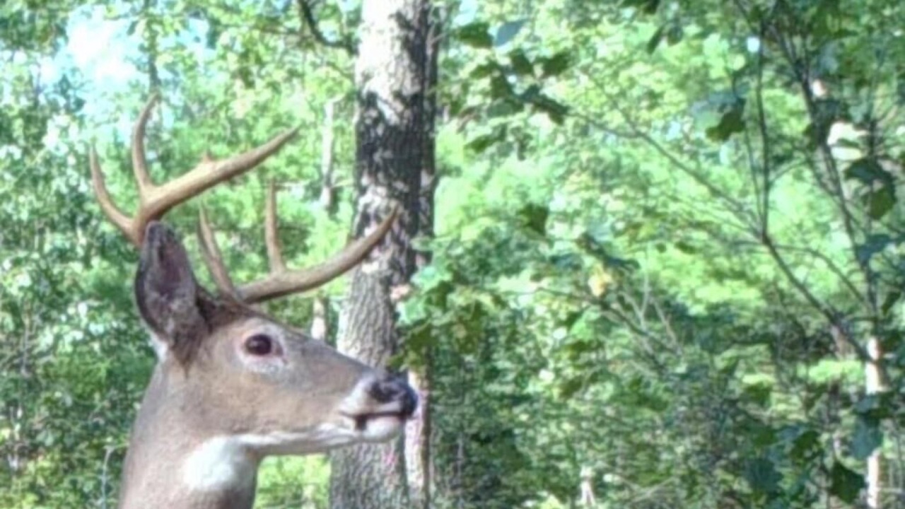 Photo of Others in Manistee