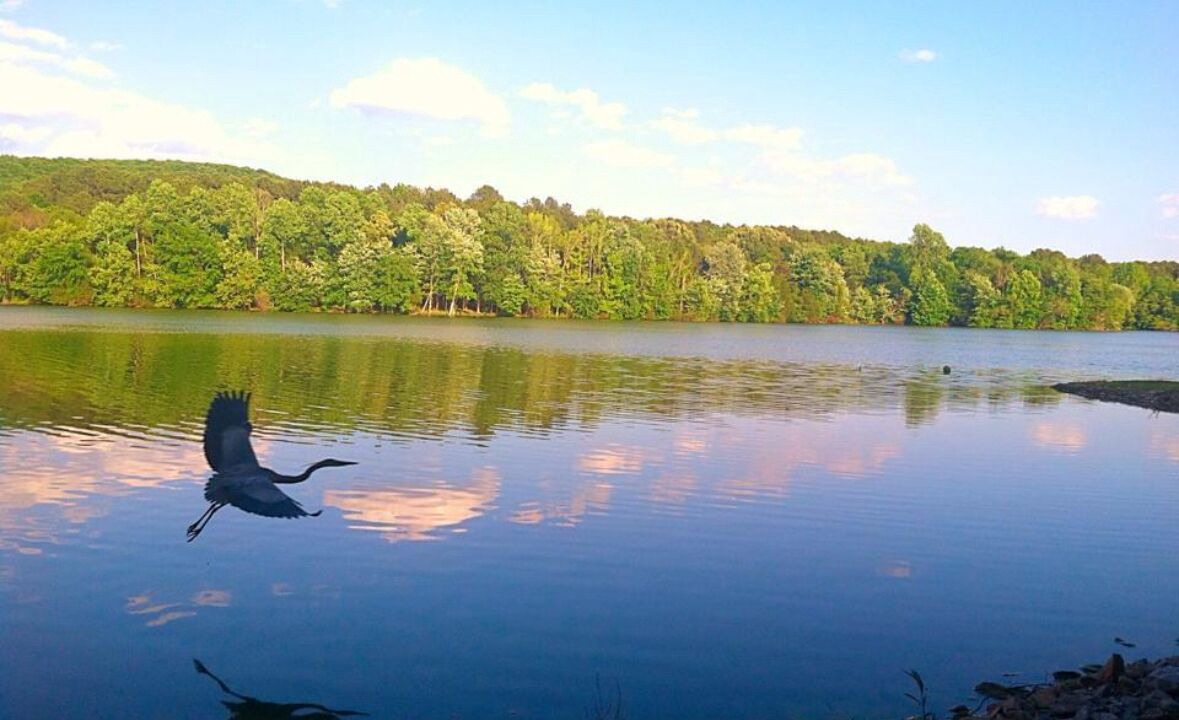 Photo of Outdoor in Gurley