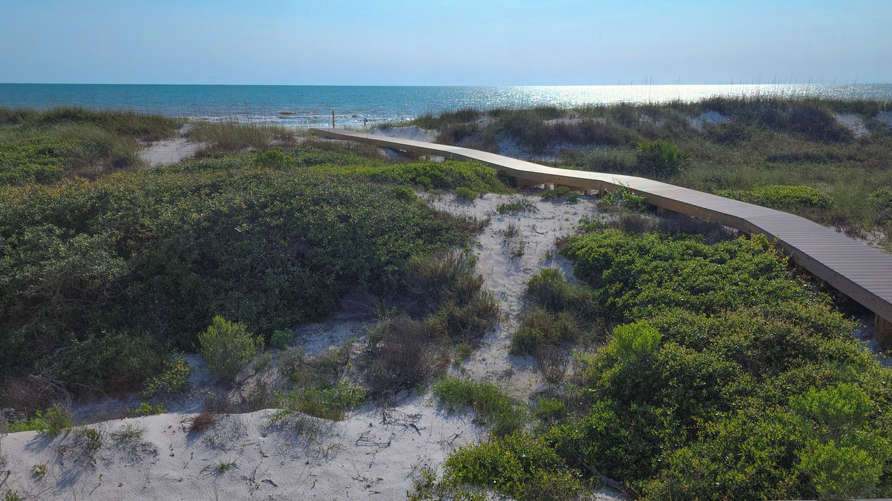 Photo of Others in Cape San Blas