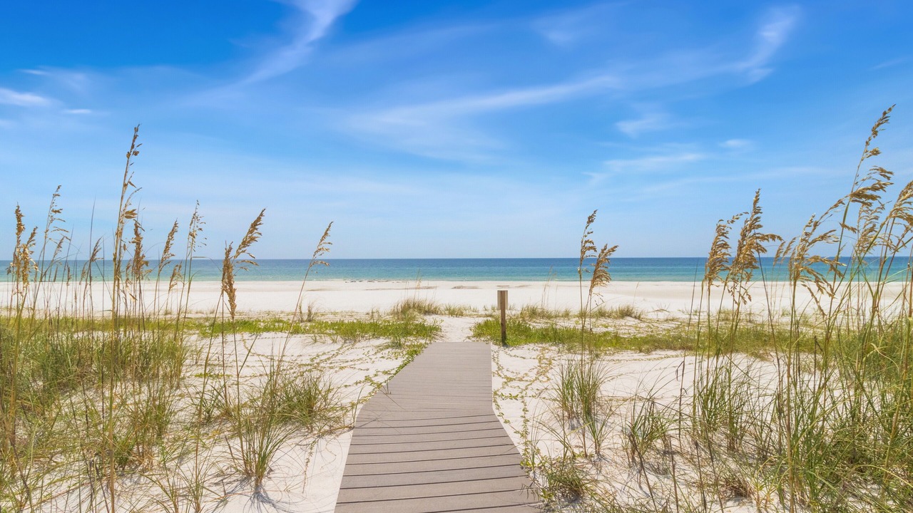 Photo of Others in Cape San Blas