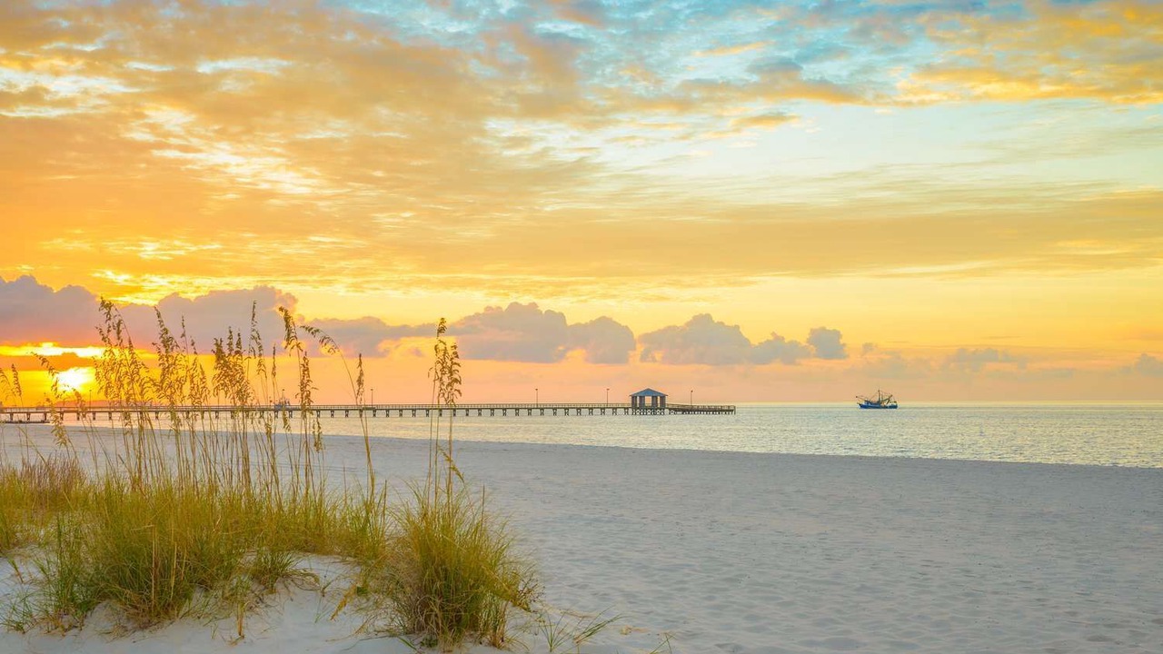 Photo of Others in Gulfport