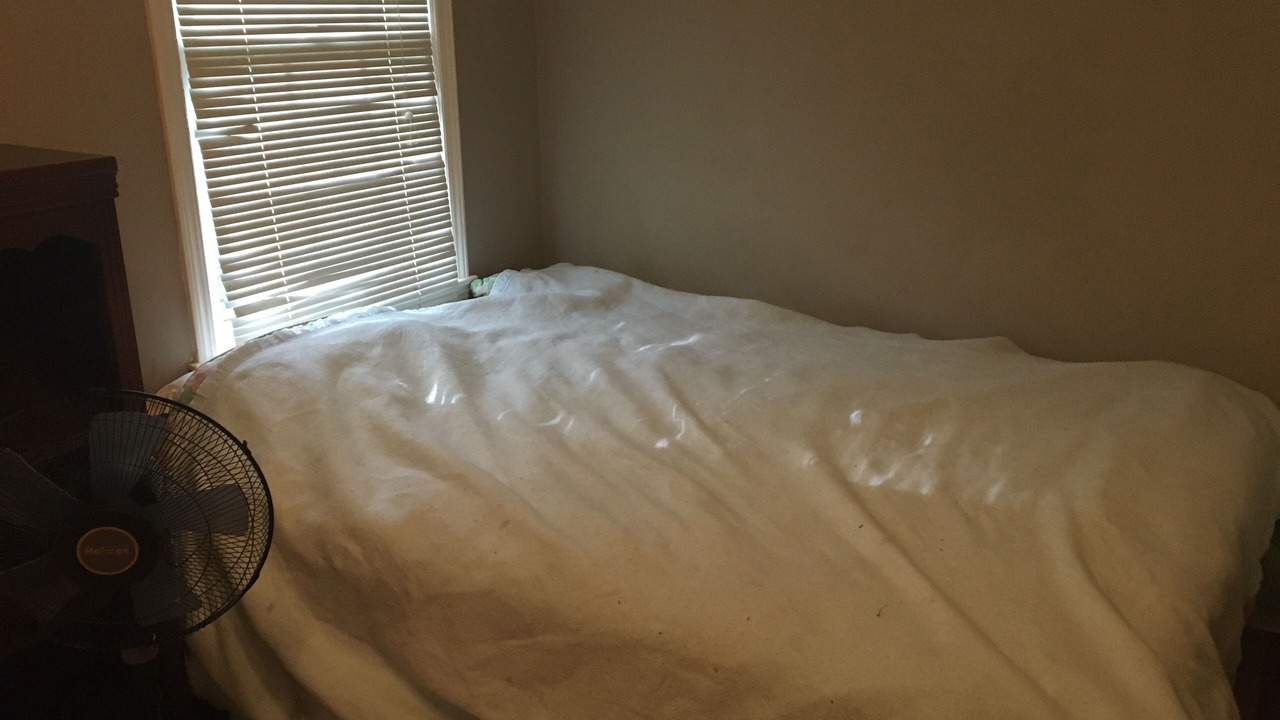 Photo of Bedroom in Mobile