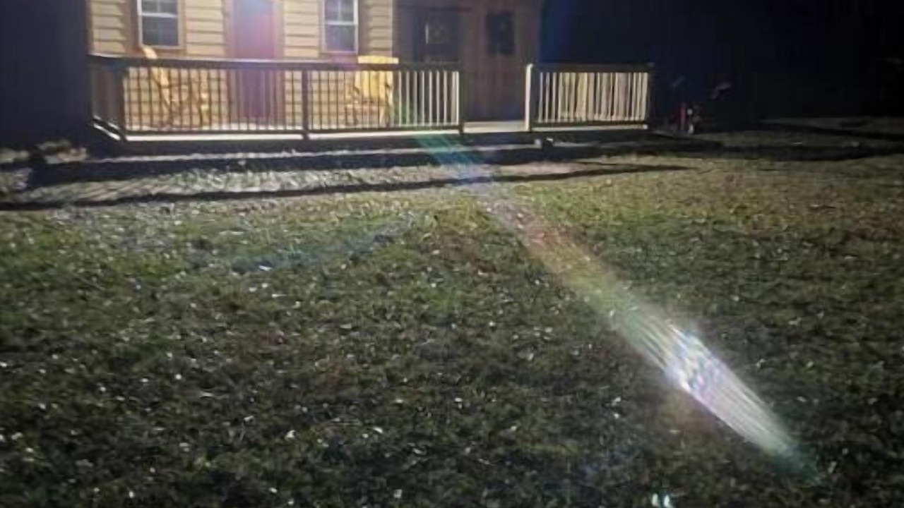 Photo of Outdoor in Brooklyn