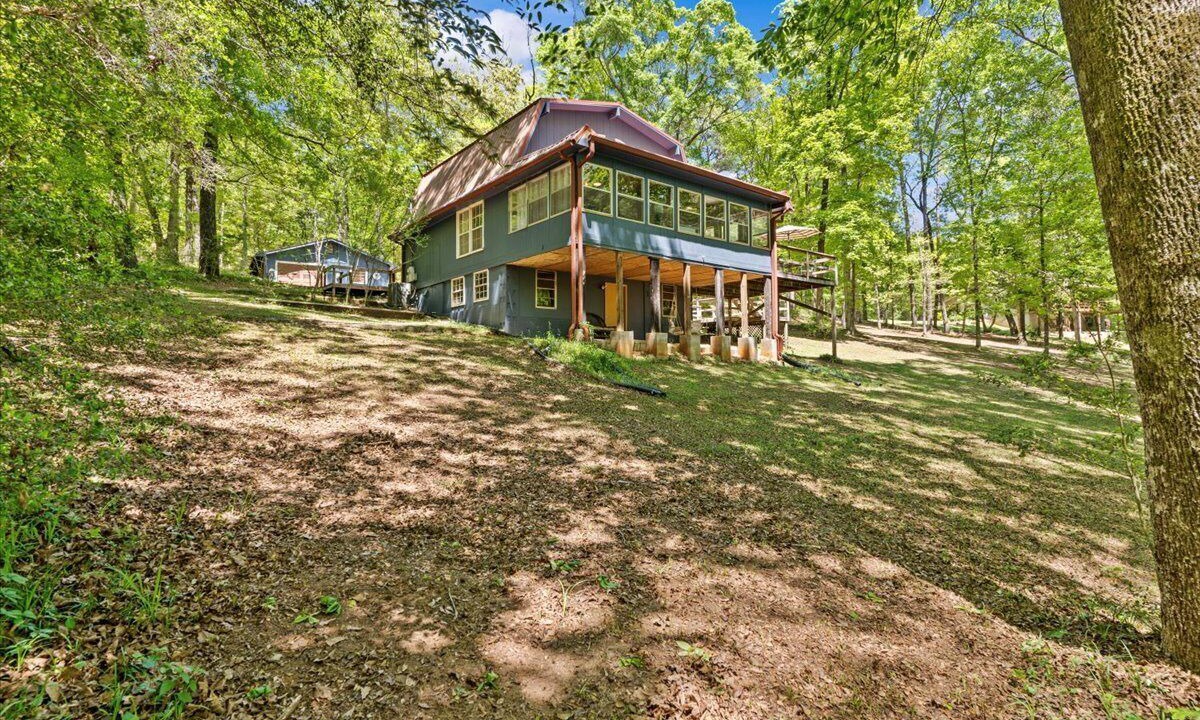 Photo of Outdoor in Jack