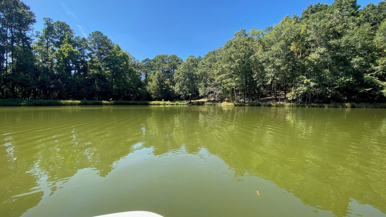 Photo of Outdoor in Jack