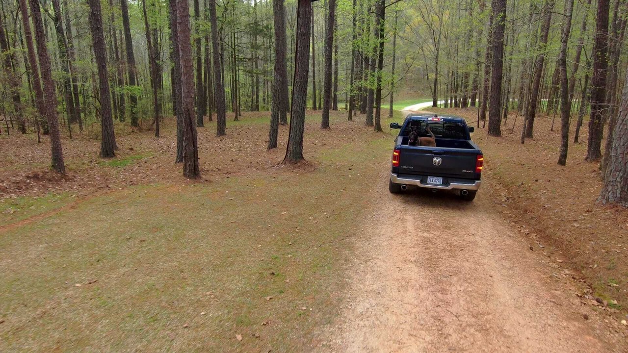 Photo of Outdoor in LaGrange