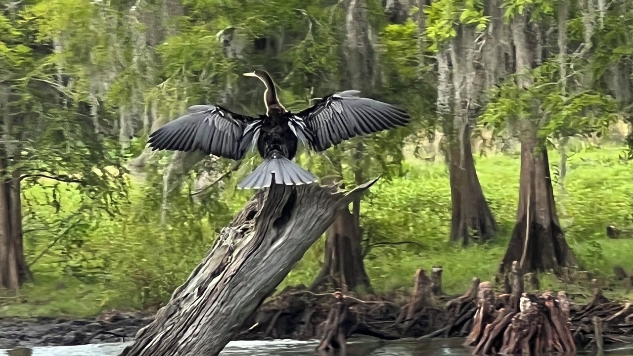 Photo of Others in Pierson
