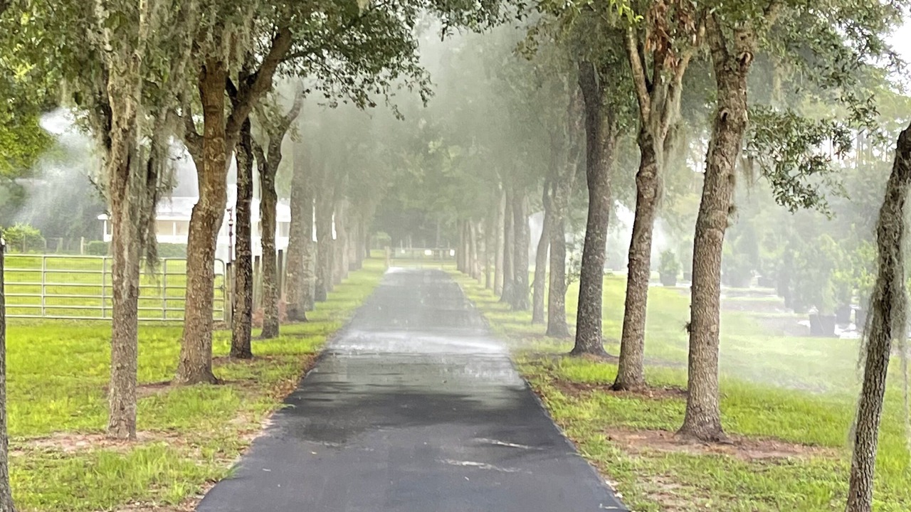 Photo of Outdoor in Pierson
