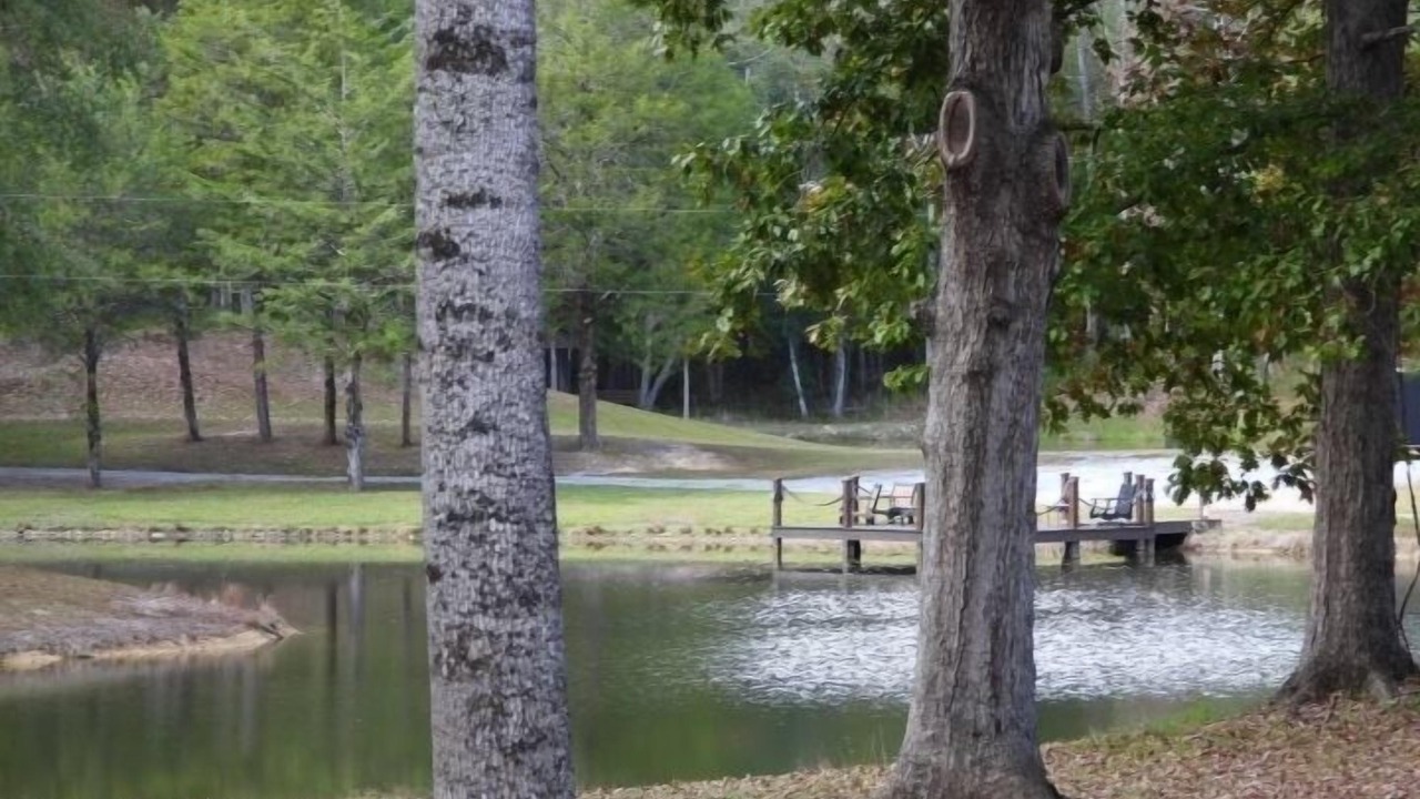 Photo of Outdoor in Eclectic