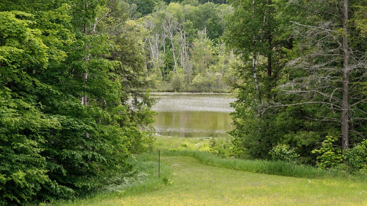 Photo of Outdoor in Suttons Bay