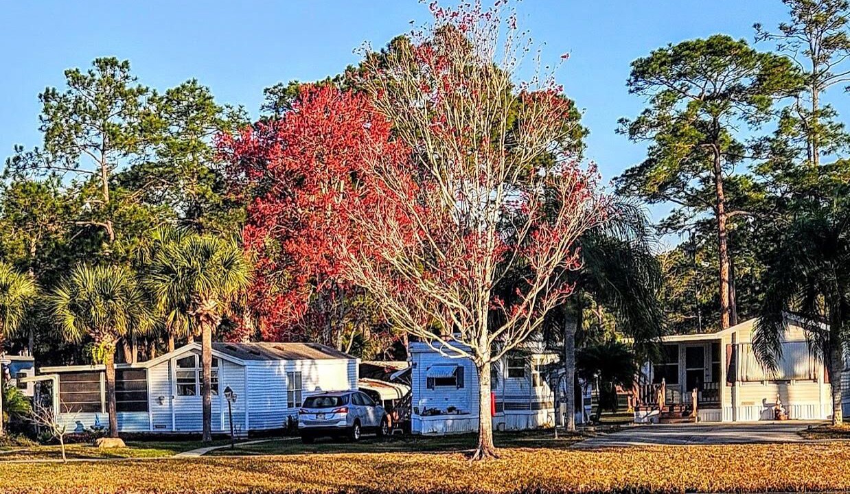 Photo of Outdoor in Bunnell