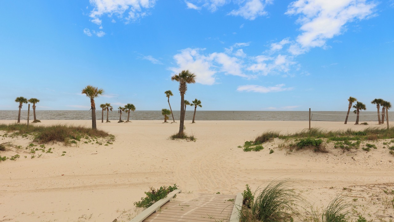 Photo of Others in Biloxi