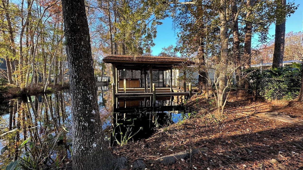 Photo of Others in Satsuma