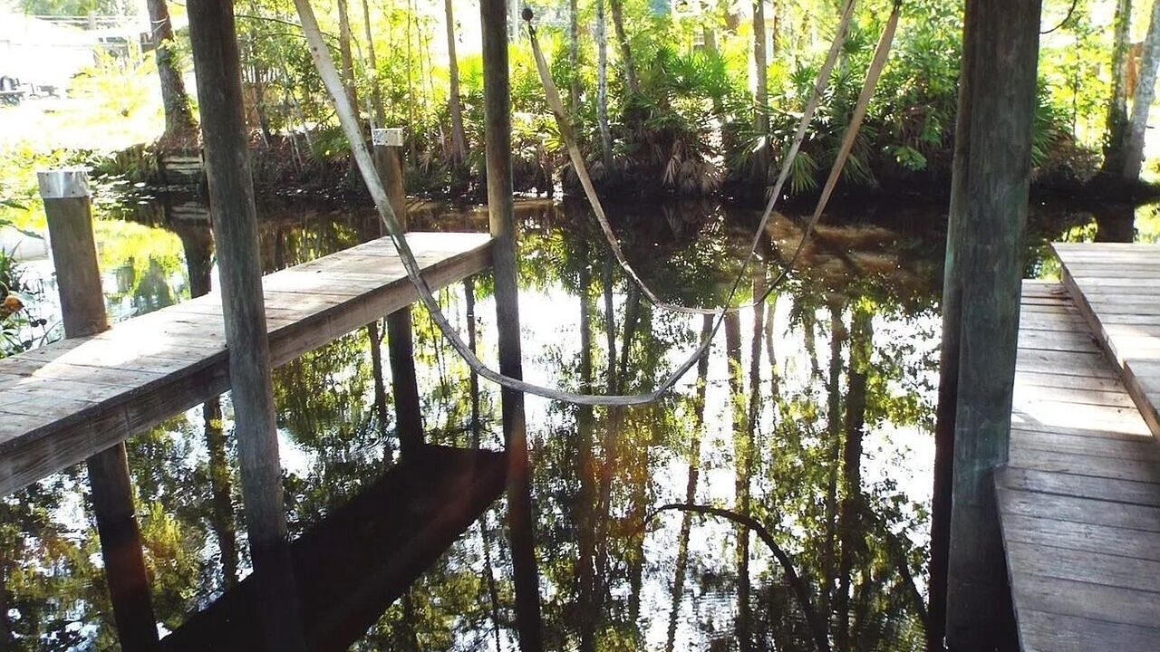 Photo of Others in Satsuma