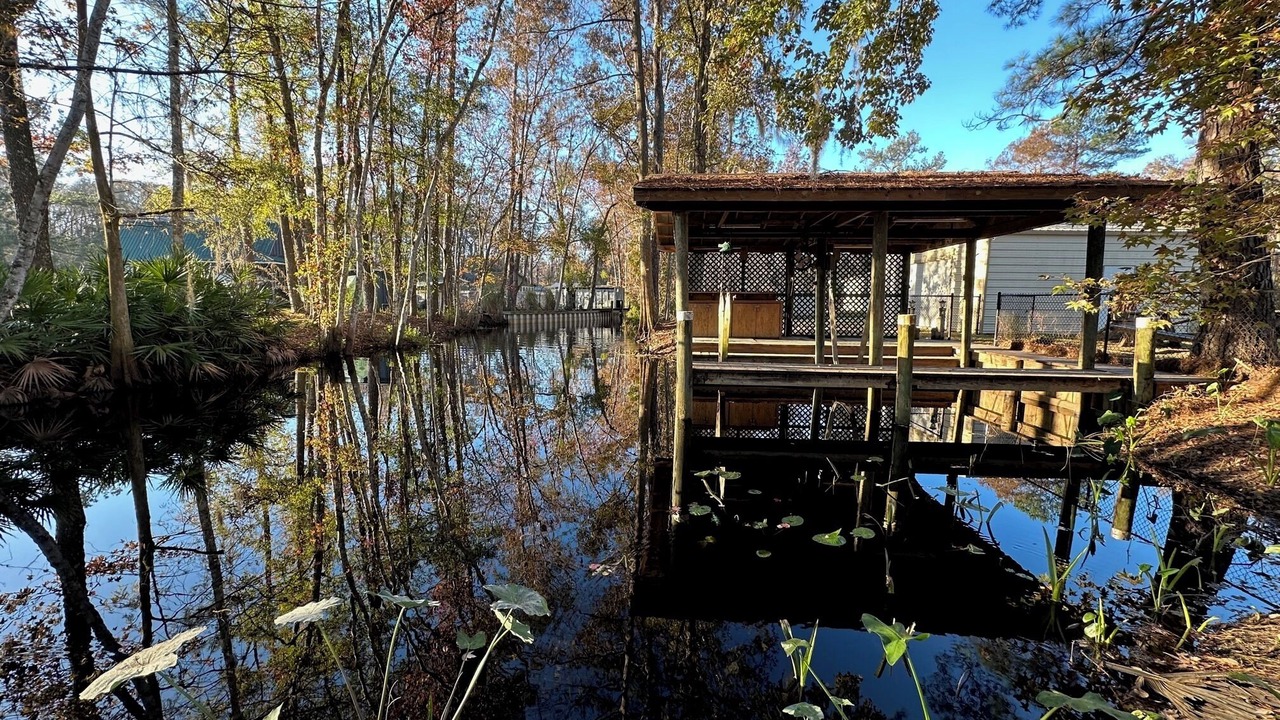 Photo of Others in Satsuma