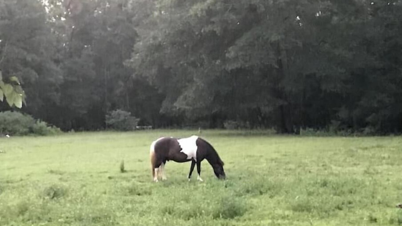 Photo of Others in Loxley