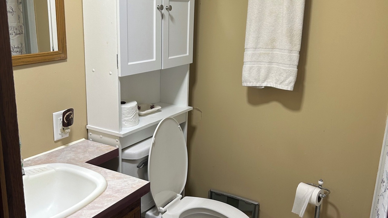 Photo of Bathroom in Satsuma