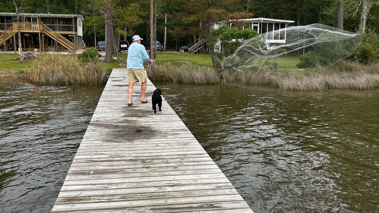 Photo of Others in Alabama Gulf Coast