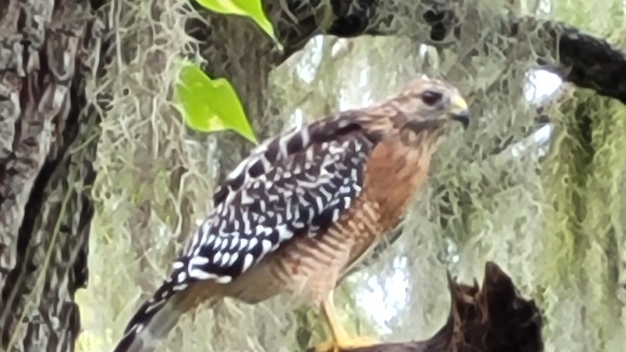 Photo of Others in Crescent City