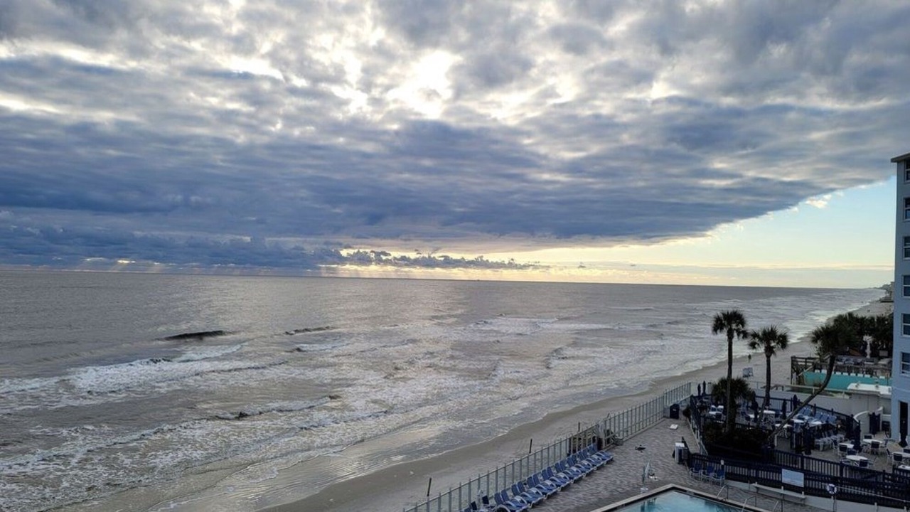 Photo of Others in New Smyrna Beach