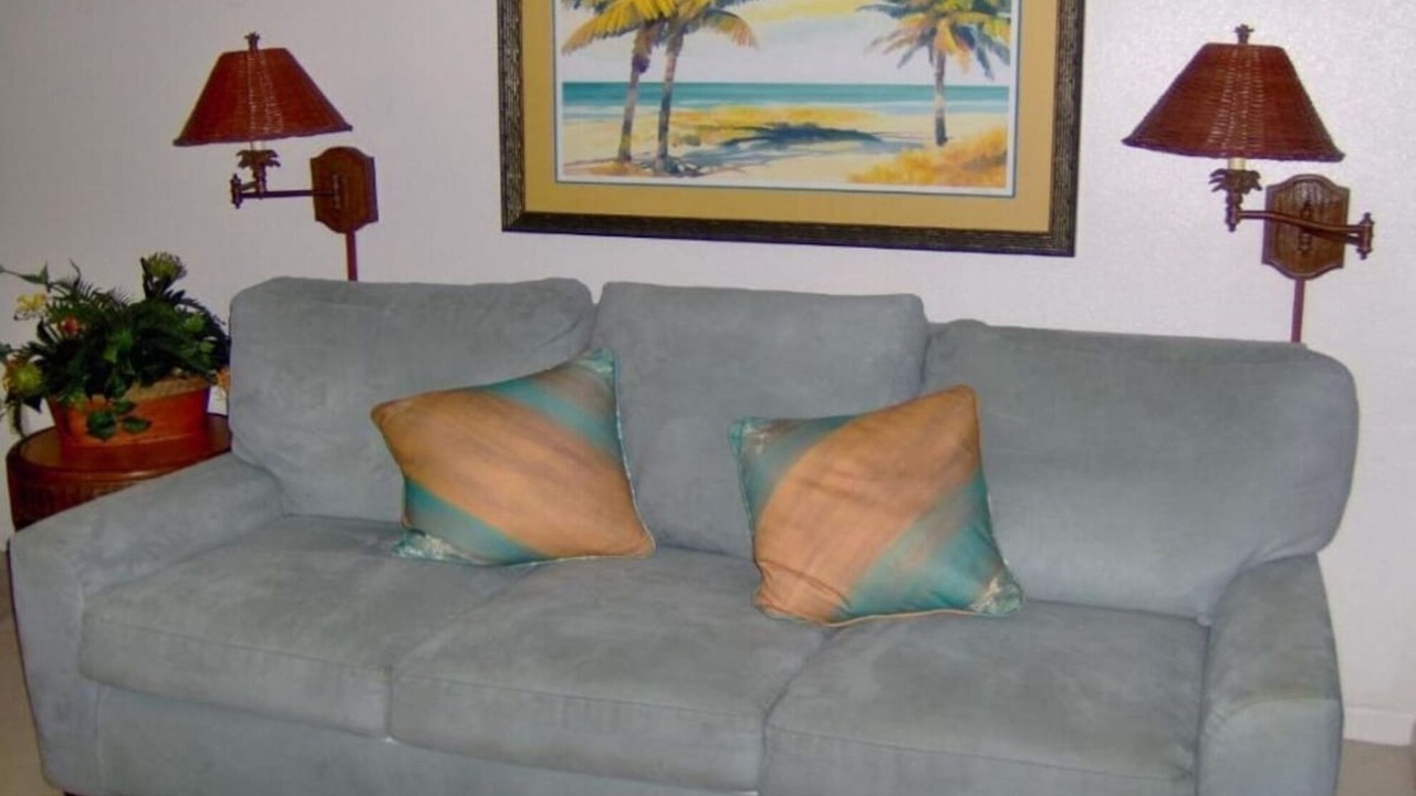 Photo of Livingroom in New Smyrna Beach