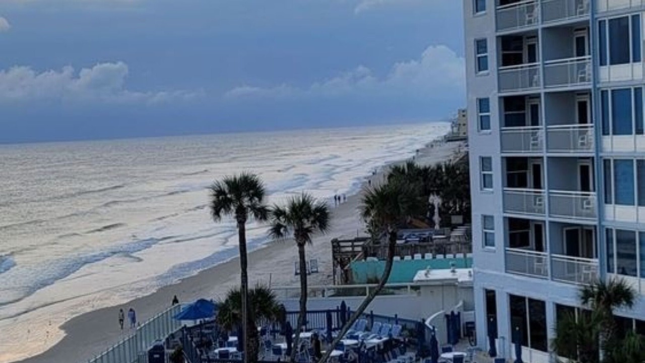 Photo of Outdoor in New Smyrna Beach