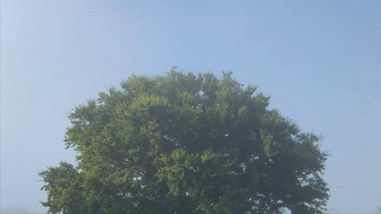 Photo of Others in Griffin