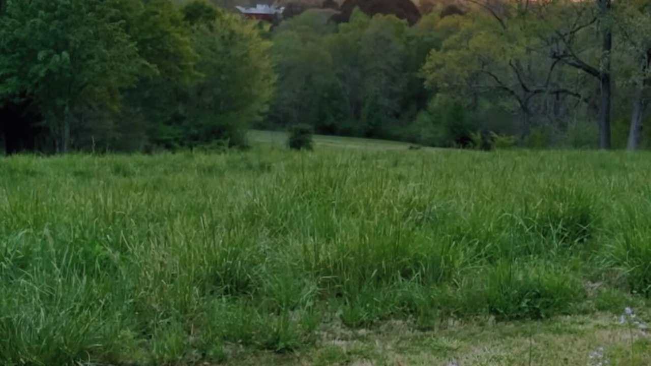 Photo of Outdoor in Griffin