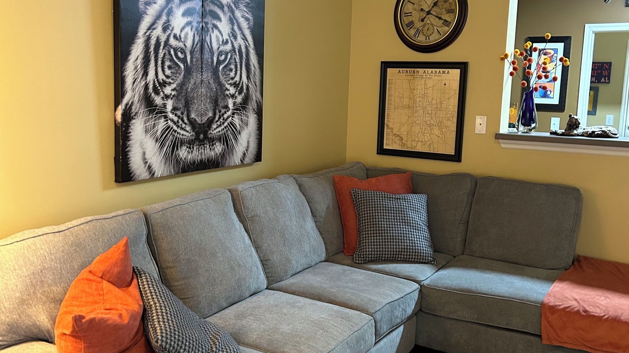 Photo of Livingroom in Auburn