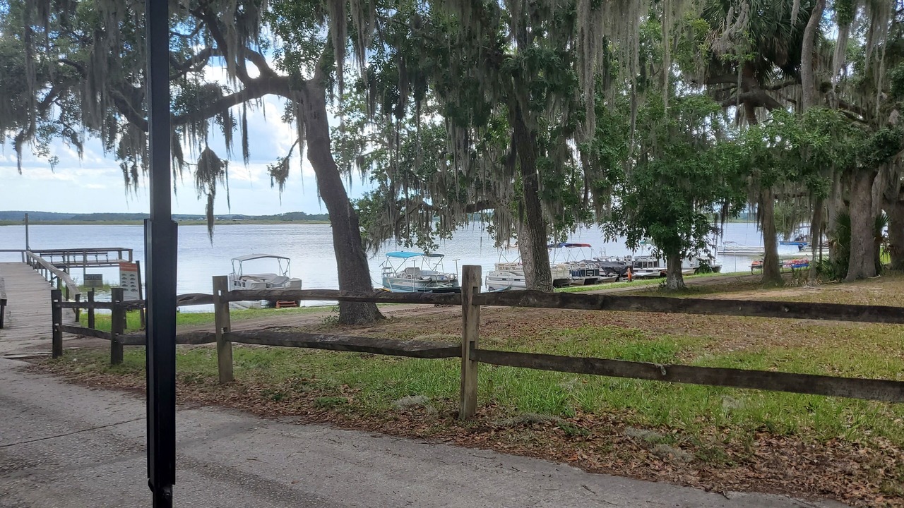 Photo of Others in Salt Springs