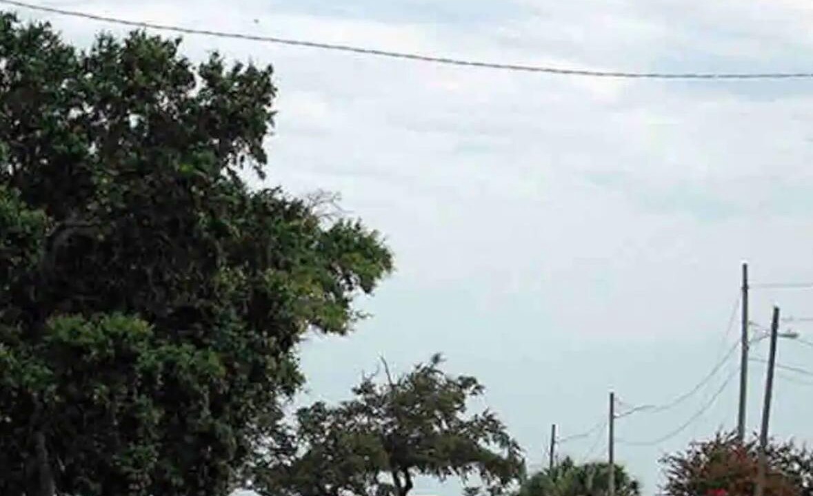 Photo of Others in Biloxi