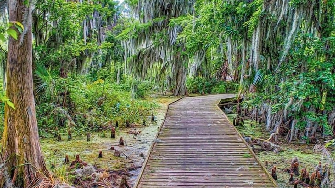 Photo of Others in Mount Dora