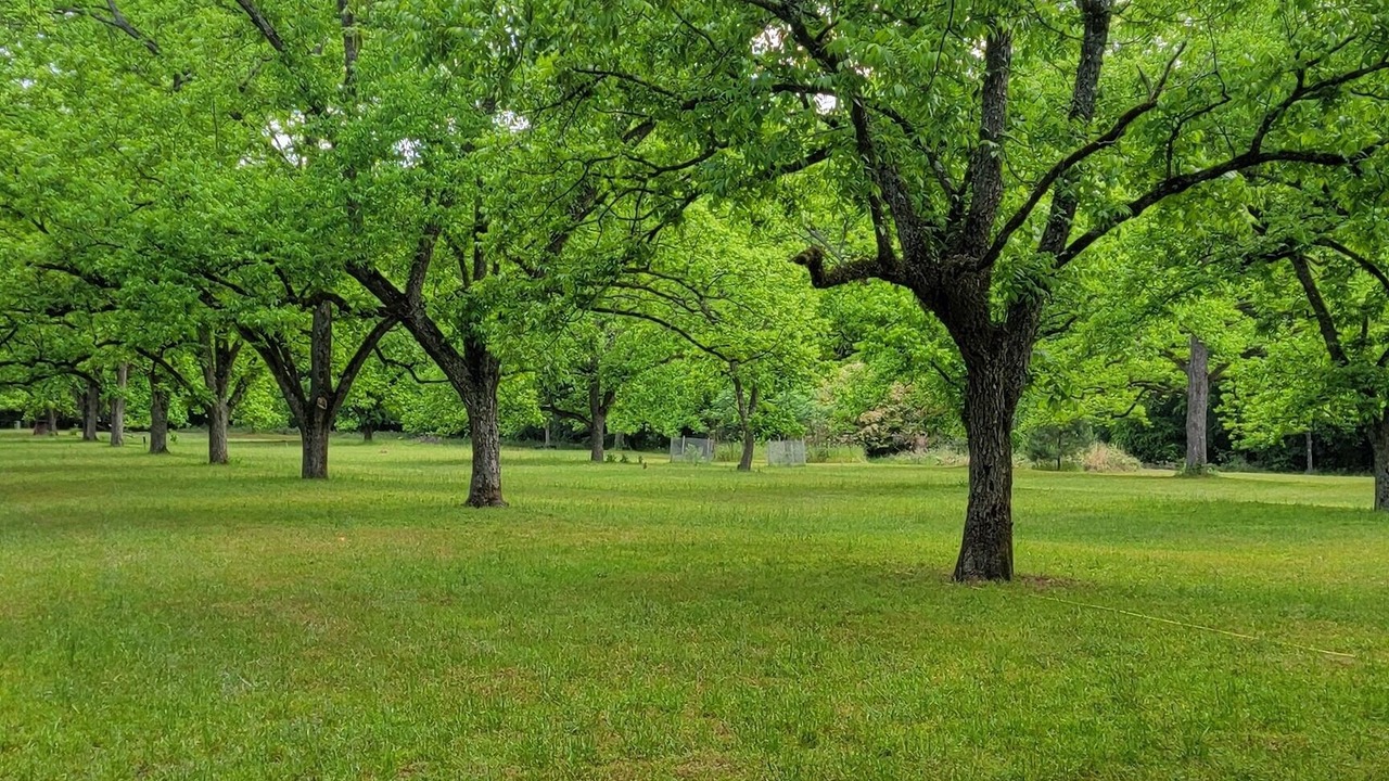 Photo of Others in Americus
