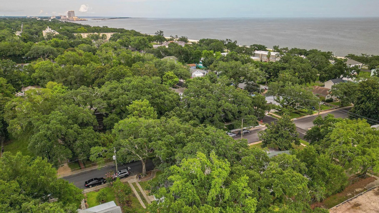 Photo of Outdoor in Biloxi