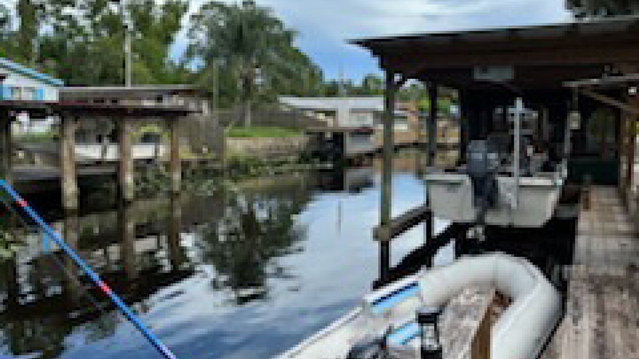 Photo of Others in Satsuma