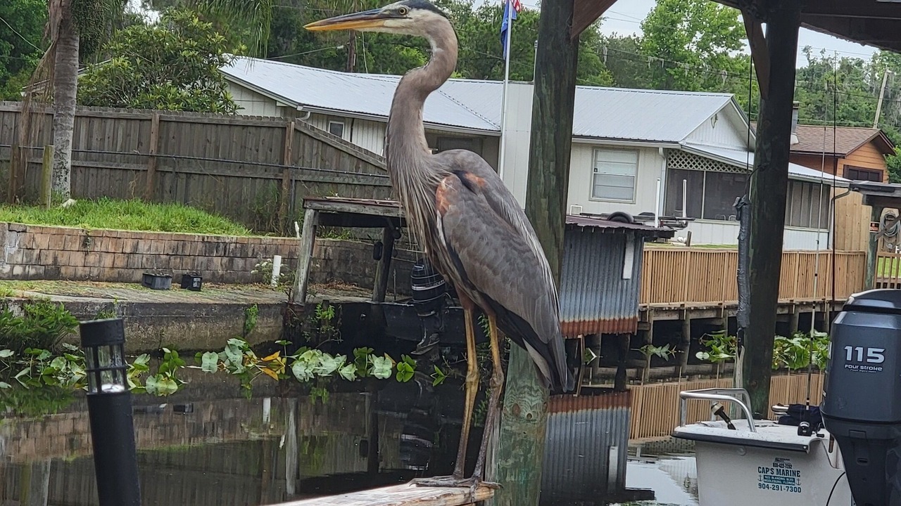 Photo of Outdoor in Satsuma
