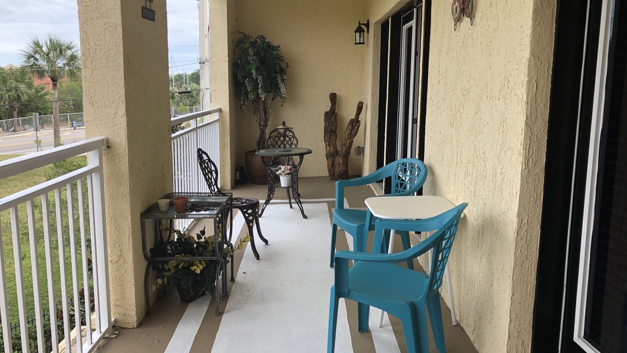Photo of Outdoor in Palm Harbor