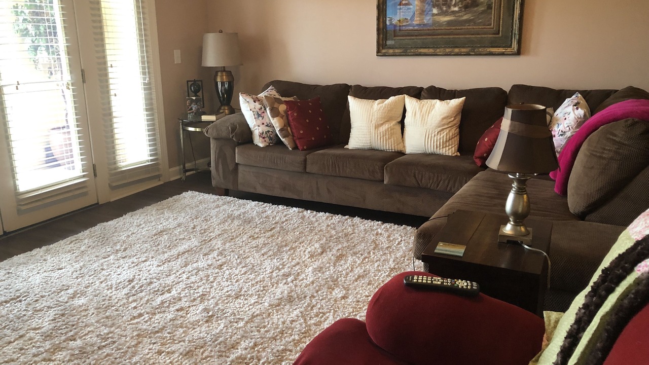 Photo of Livingroom in Palm Harbor
