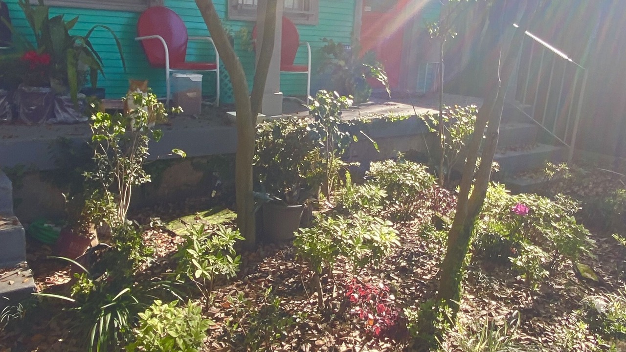Photo of Outdoor in East Carrollton