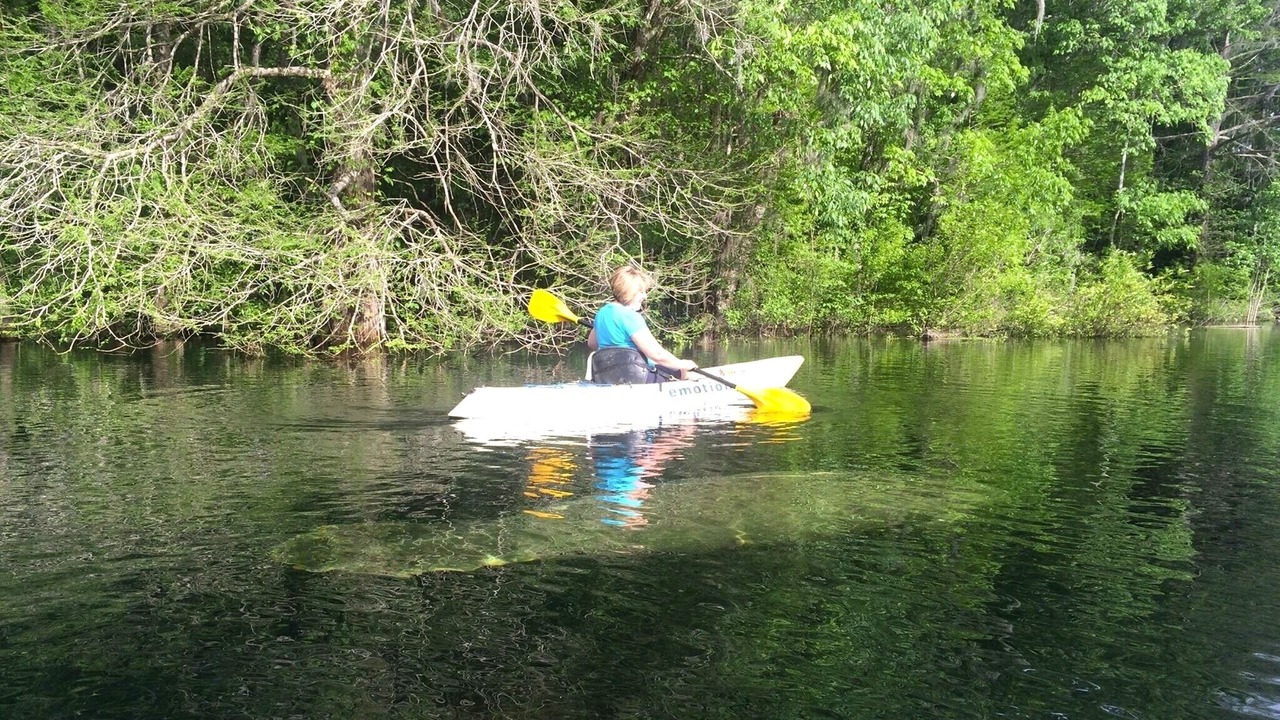 Photo of Others in Branford
