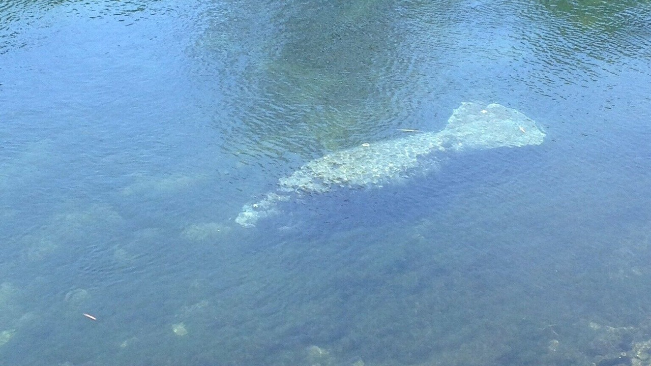 Photo of Others in Branford