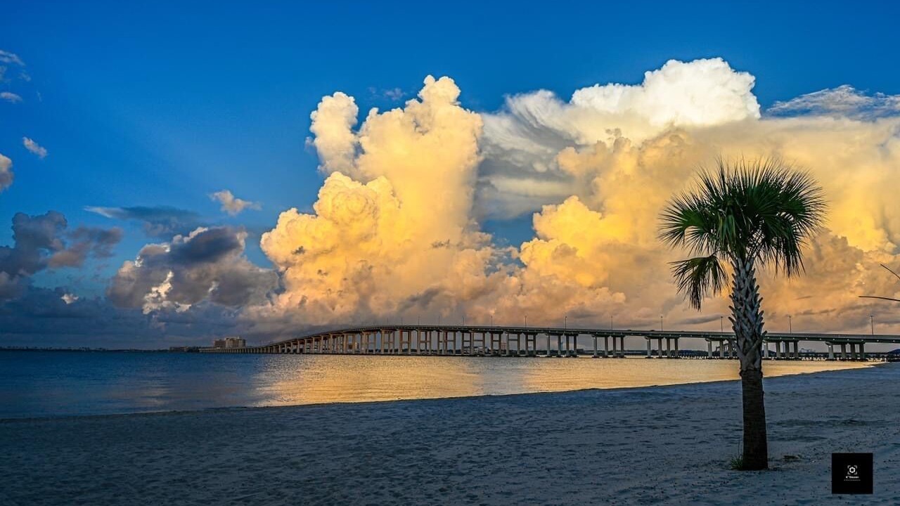 Photo of Others in Biloxi