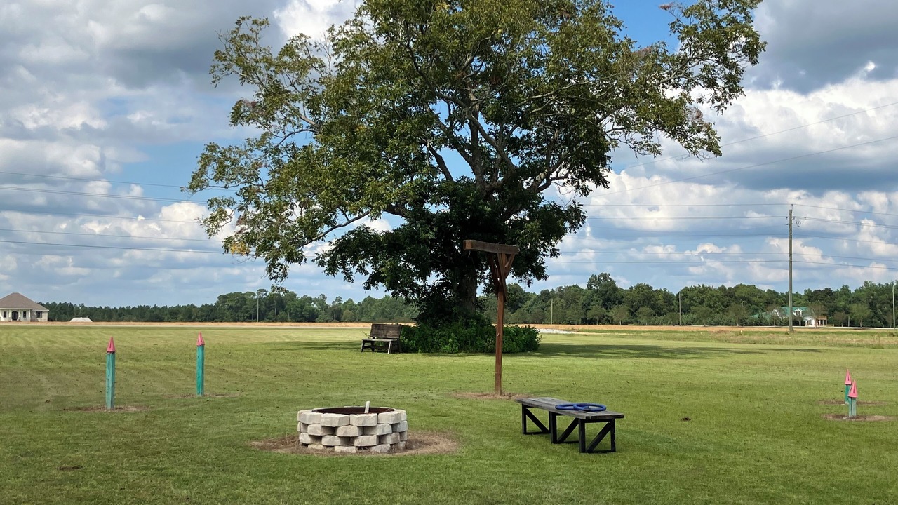 Photo of Outdoor in Elberta