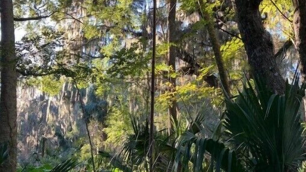 Photo of Outdoor in Georgetown