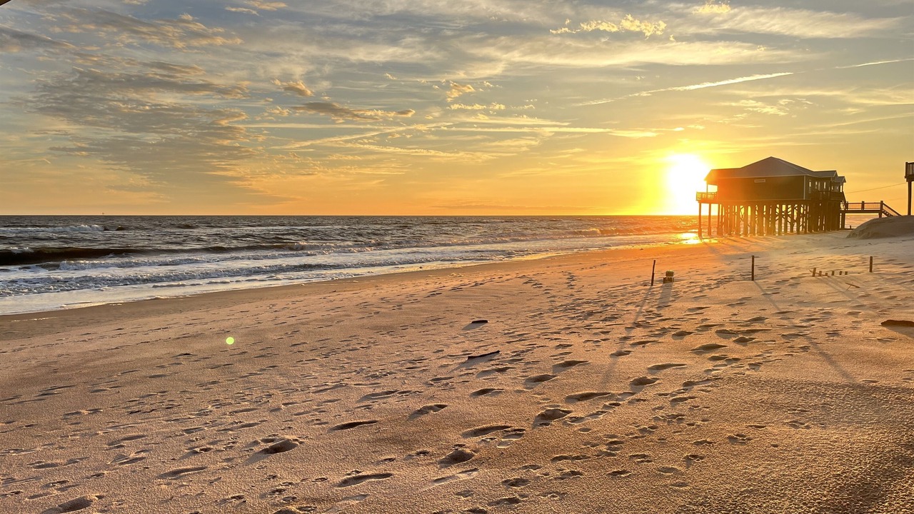 Photo of Others in Dauphin Island