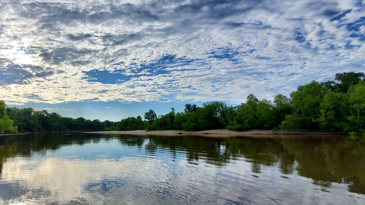 Photo of Others in Lucedale