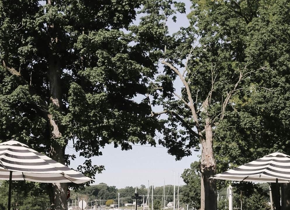 Photo of Outdoor in Whitehall