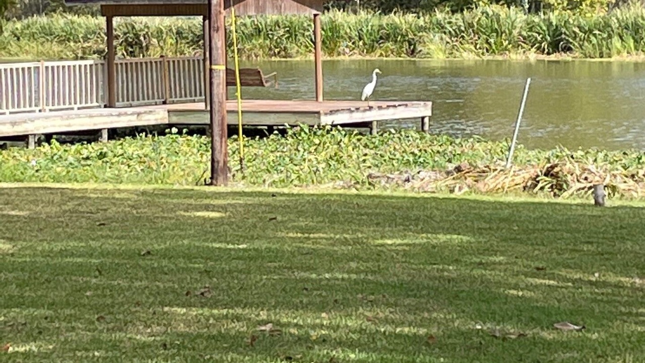Photo of Outdoor in Franklin